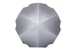 25620005 - Suspension: Center Cap for GM Image