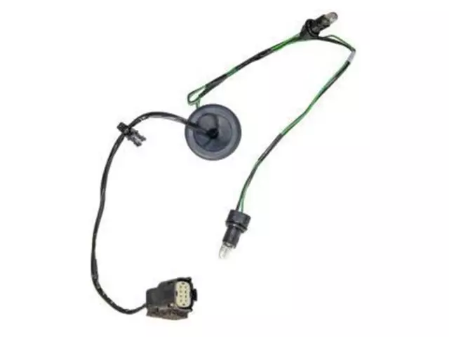 Wiring And Socket Assembly Lamp - Ford (NK4Z-13234-E)
