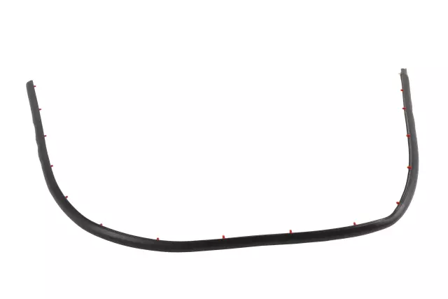 23204898 - Body: Weatherstrip for GM Image