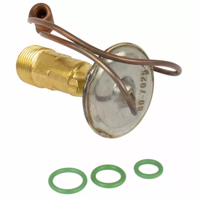Valve Assembly Evaporator Expansion - Ford (QYG-61)