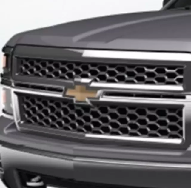 Grille W\\/ Black Mesh - GM (23235955)