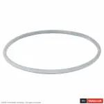 RG624 - Belts &amp; Cooling: Motorcraft™ Engine Coolant Thermostat Gasket for Ford: GT Image