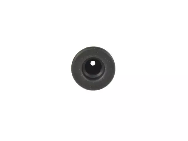 Tail Lamp Grommet - Mopar (68263559AA)