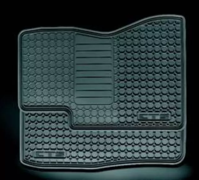 Floor Mats, Premium All Weather, Front - GM (22784766)