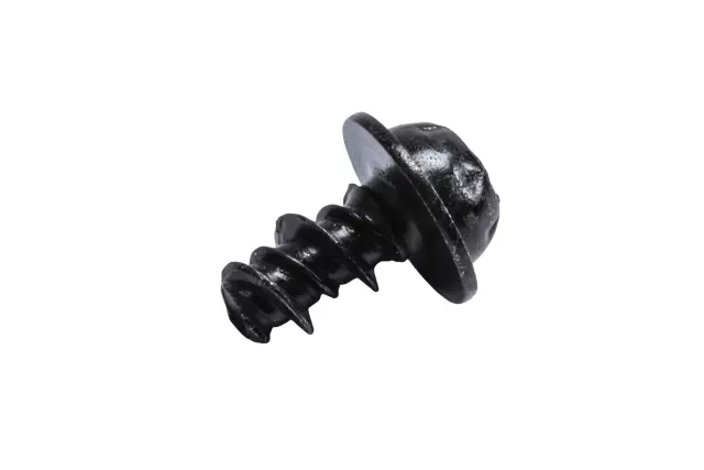Bolt - GM (25747530)
