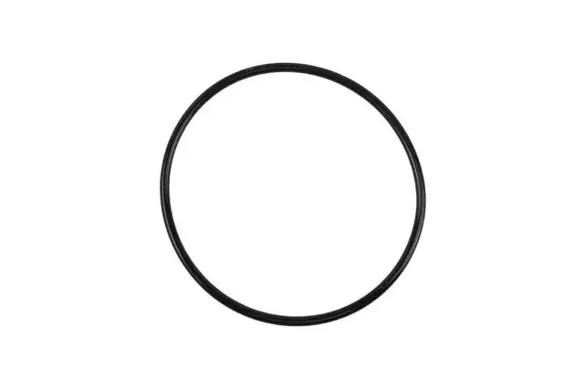 12456203 - : Drive Shaft Seal for GM Image