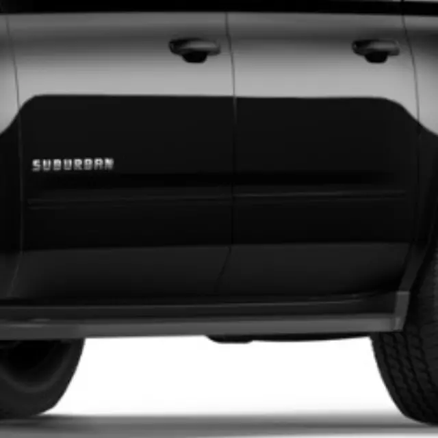 Exterior Trim, Bodyside Molding - GM (22988755)