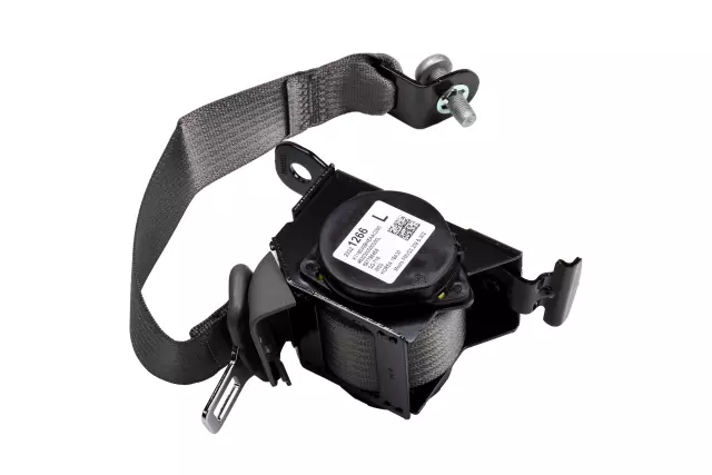 19332359 - Electrical: Outer Belt Assembly for Chevrolet: Impala Image