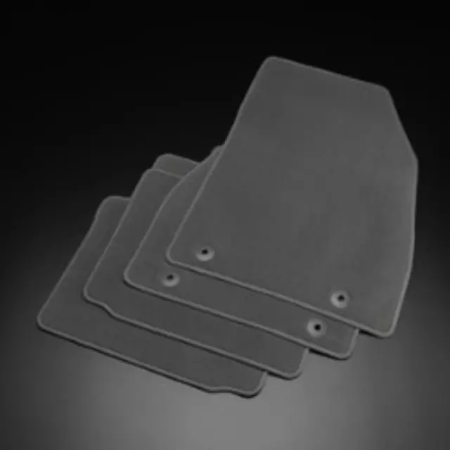 Floor Mats, Carpet - GM (19369249)