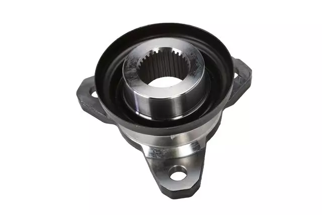 Cargo Center Courtesy Lamp Lens - GM (19316430)