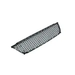 68138356AA - Frame, Bumper and Fascia: Lower Grille for Mopar Image image