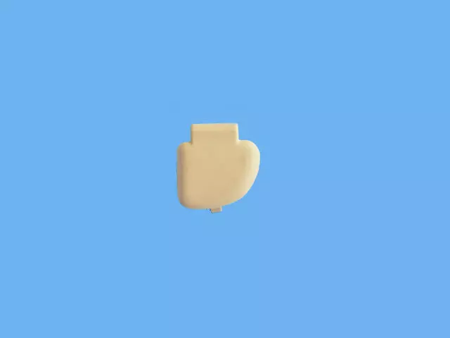 Grab Handle Cover, Left - Mopar (1WP27ML2AA)