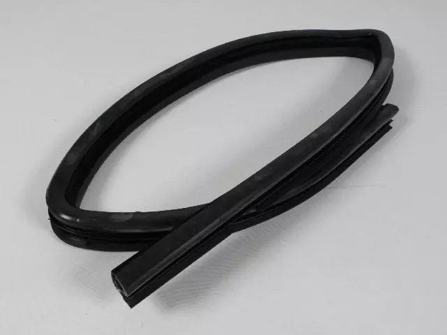 Door Glass Weatherstrip, Right Rear - Mopar (55394054AG)