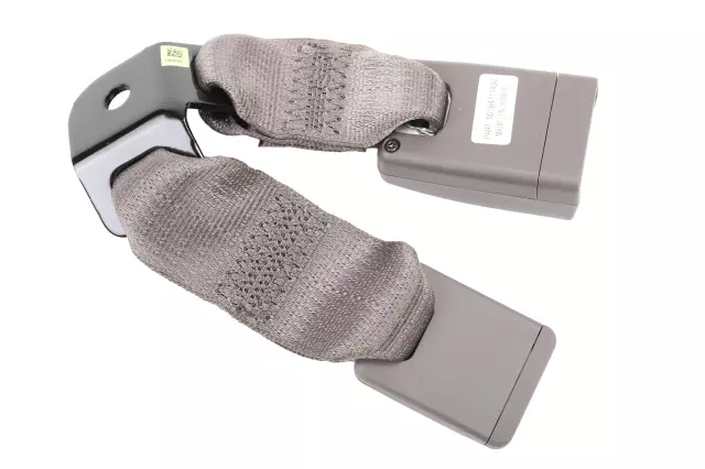 Buckle - GM (84711434)