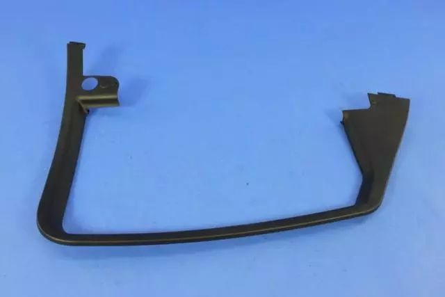 Rear Door Molding, Left - Mopar (1YE90DX9AB)