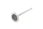 12740919 - : Exhaust Valve for GM Image
