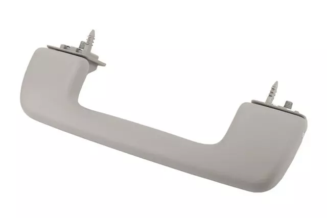 Roof Rail Assist Handle - GM (84157202)