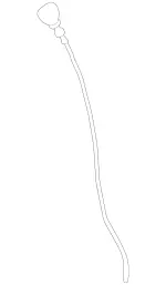 278010137264 - : Oil Dipstick for Mercedes-Benz Image