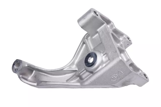 Power Steering Pump Bracket - GM (12618102)
