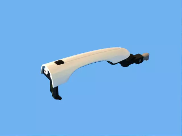 5RR19GW7AC - Body: Handle, Outside for Chrysler: Pacifica Image