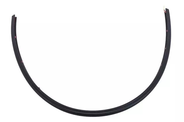 22967973 - Body: Sunroof Glass Front Seal for Buick: Envision Image