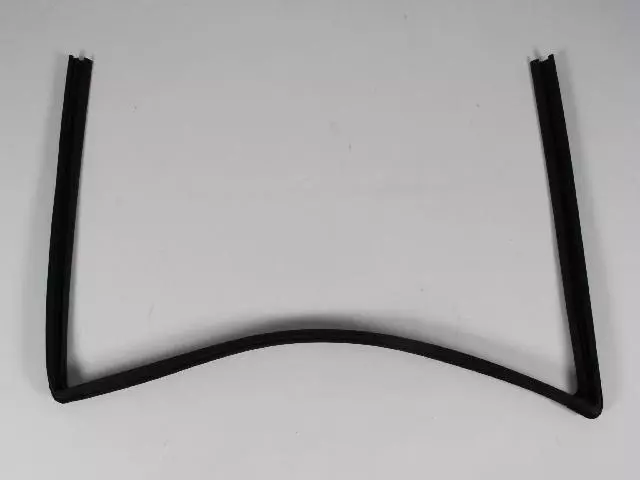 55399168AG - : Front Door Glass Run Weatherstrip, Right for Mopar Image