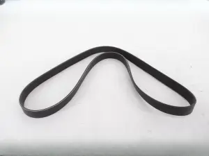                                     Serpentine Belt
                                