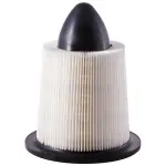 PA4877 - : Air Filter for PRONTO Image