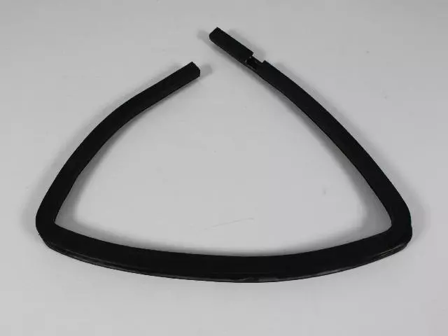 Door Glass Weatherstrip, Right Rear - Mopar (55394054AG)