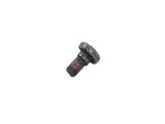 6513330AA - Restraints: Torx Screw for Jeep: Grand Cherokee L Image