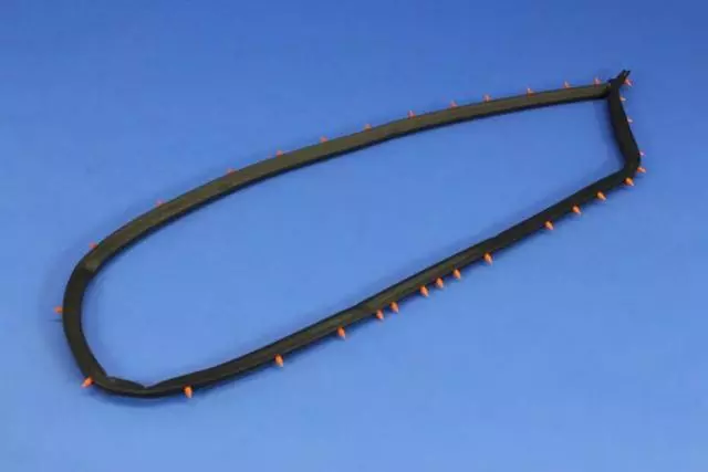 Door Weather-Strip - Mopar (68096402AC)