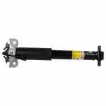 ASH866157 - Suspension: Motorcraftâ„¢ Shock Absorber for Ford: Mustang Image