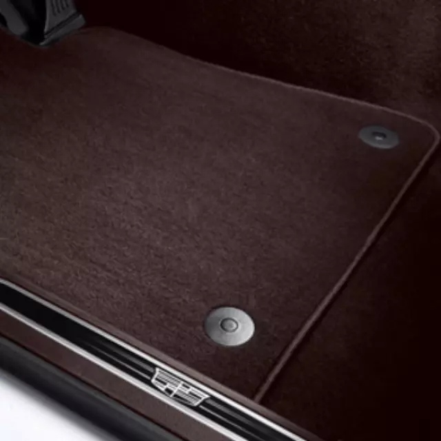 Floor Mats, Carpet - GM (84026718)