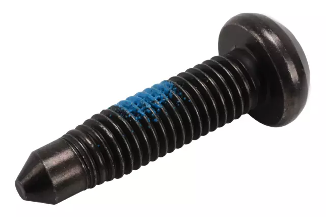 F Bolt - GM (11602902)