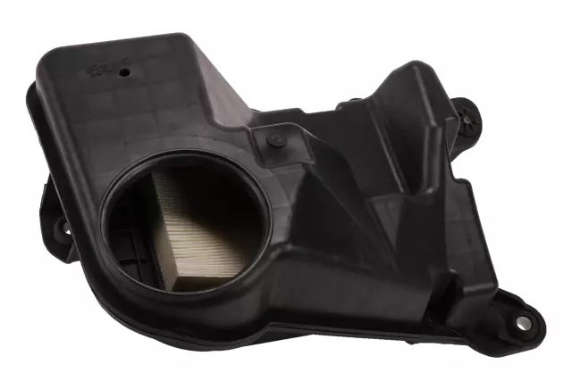 Air Cleaner - GM (25827094)