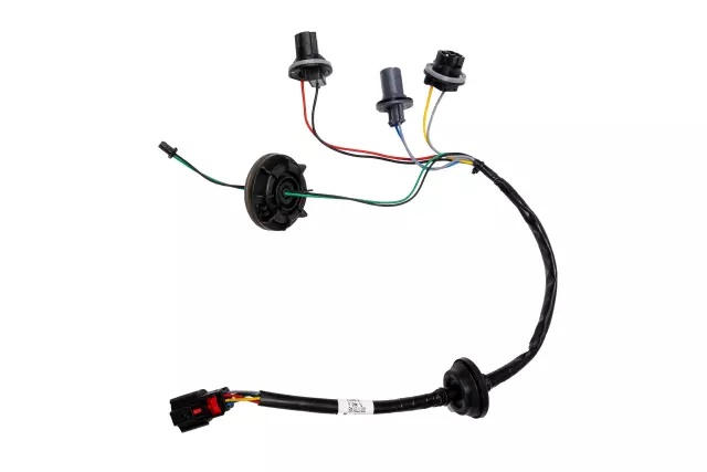 Rear Combination Lamp Module - GM (42505970)