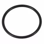 BR3Z8527A - Cooling System: Water Pump O-Ring for Ford: Expedition, Explorer, F-150, Mustang, Police Interceptor Utility, Transit-150, Transit-250, Transit-350, Transit-350 HD | Lincoln: Navigator Image