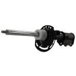 ASH866636 - Suspension: Motorcraftâ„¢ Strut for Lincoln: Corsair Image