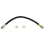 19109572 - : Hose for GM Image