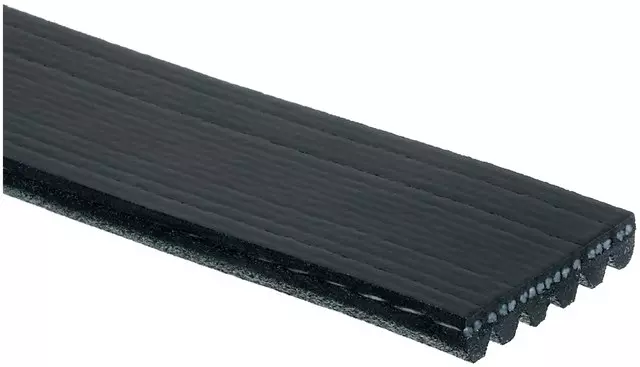 Belt - GM (19252328)