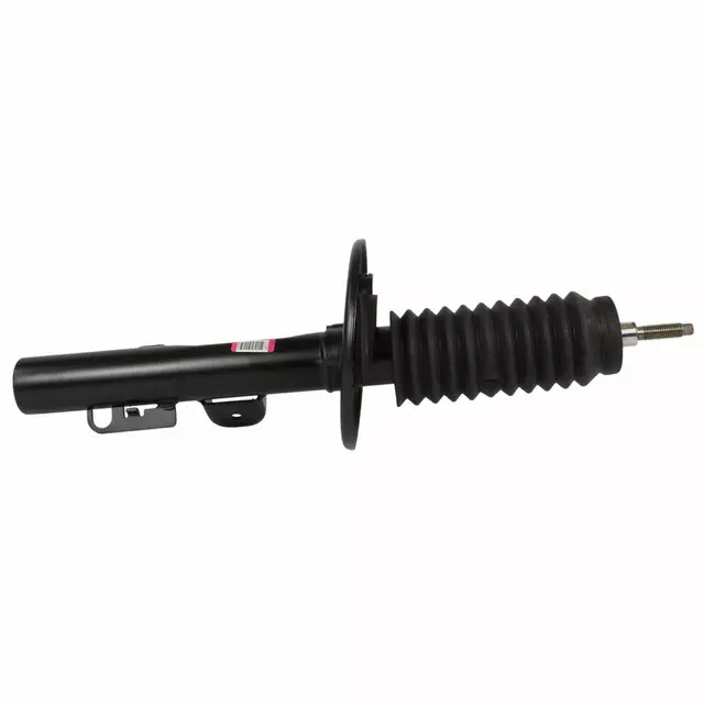 Shock Absorber Assembly - Ford (AST-402)