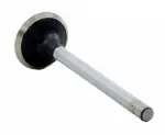 V2317 - : Engine Exhaust Valve for Enginetech Image