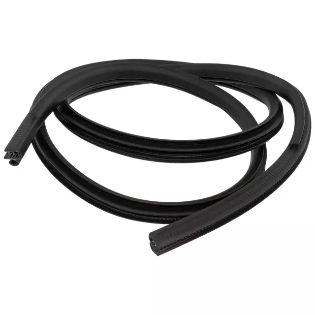 Weather-Strip On Body - Ford (kl3z1620709a)