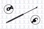 84461 - : Trunk Lid Lift Support for Focus Auto Parts Image