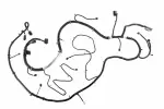 84569208 - : Chassis Wiring Harness for GM Image