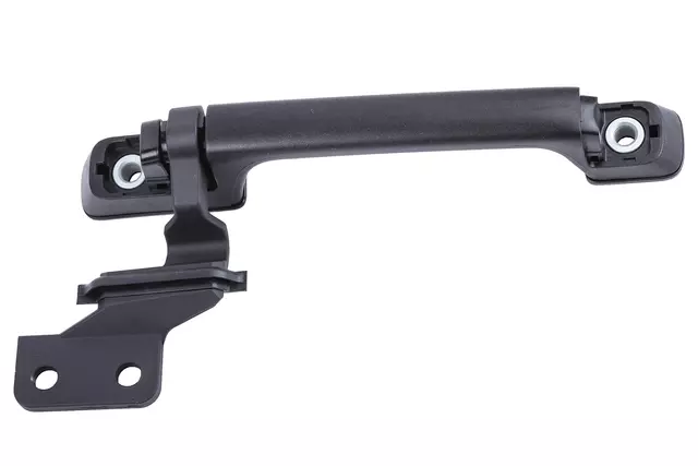 98036566 - : F Handle for GM Image