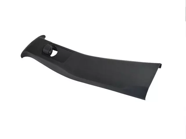 B Pillar Molding, Left - Mopar (1XW65DX9AI)