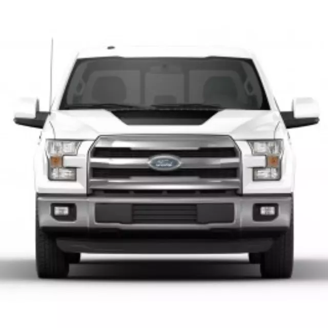Hood Cowl Stripe Kit - Matte Black - Ford (VFL3Z-9920000-F)