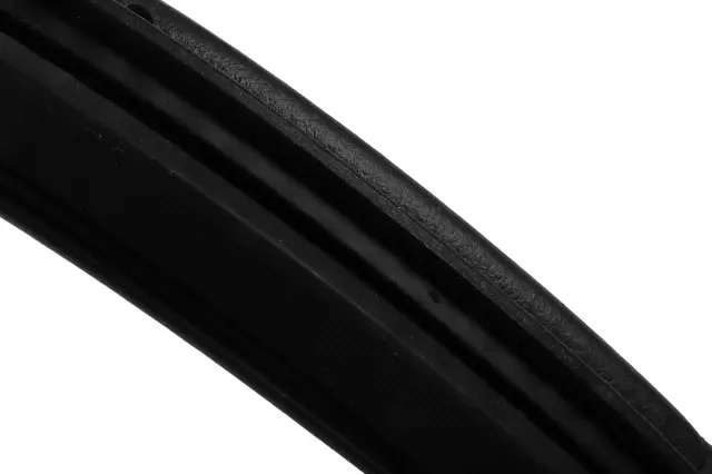 Weather-Strip On Body - GM (84921199)