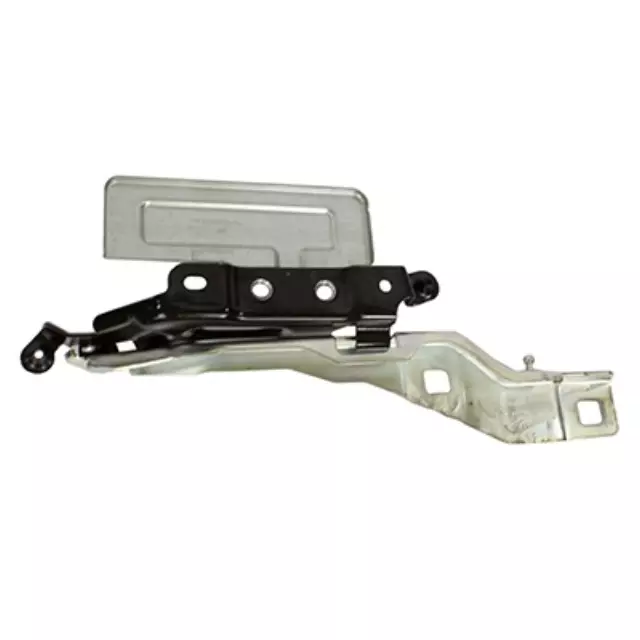 Hinge - Ford (JL1Z16796A)